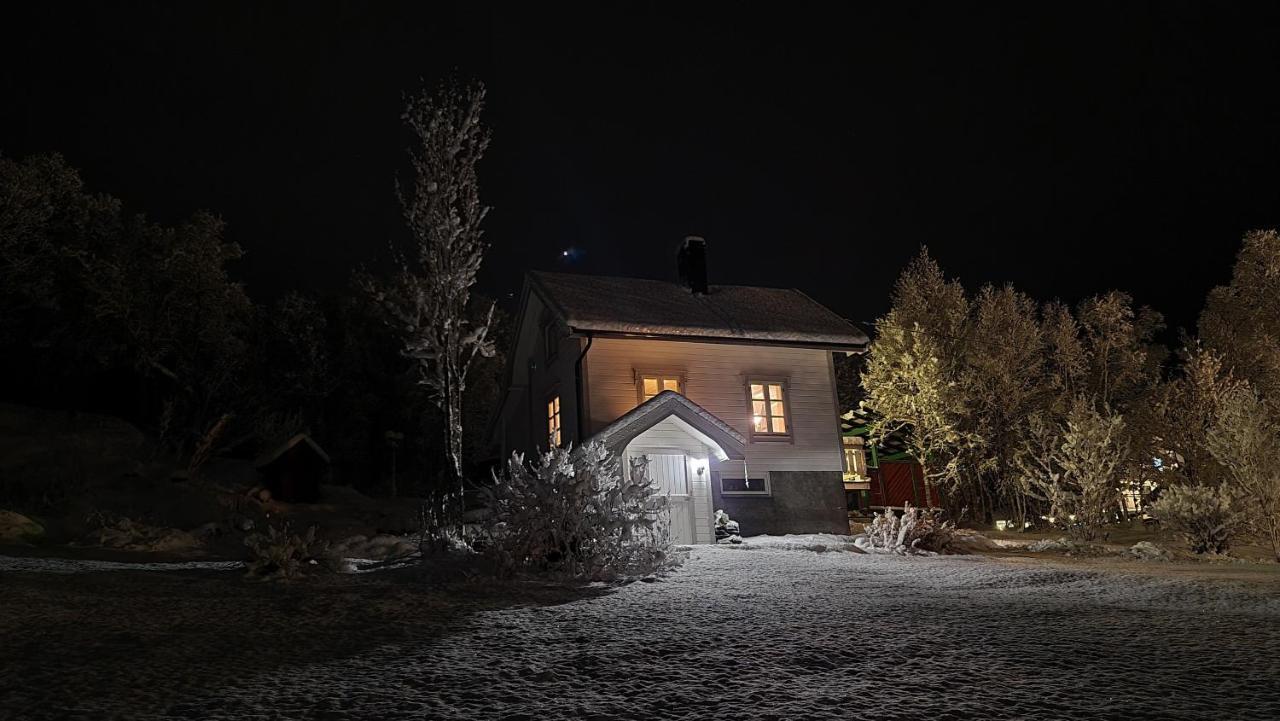 Cabin Magic On Senja, Atmosphere Like A Fairytale Botnhamn Exterior foto