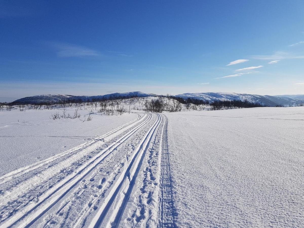 Cabin Magic On Senja, Atmosphere Like A Fairytale Botnhamn Exterior foto
